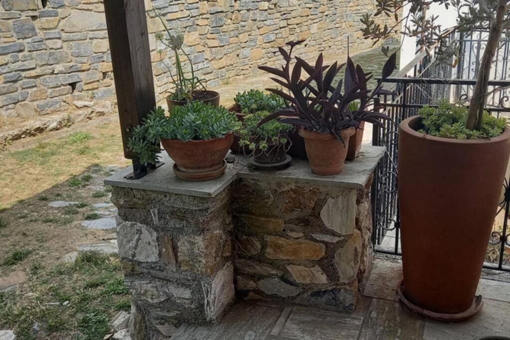 Pelion Cottage Mileai Exterior photo